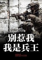 别惹我我是兵王